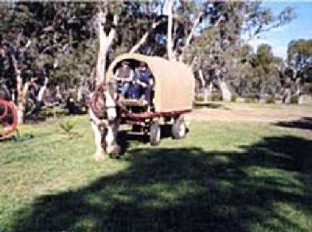 Riverside Host Farm - Accommodation 4U 3