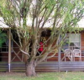 BIG4 Ballarat Windmill Holiday Park - Accommodation 4U