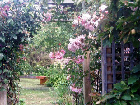 Hudspeth House Bed And Breakfast - Accommodation 4U 2