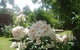Hudspeth House Bed And Breakfast - thumb 3