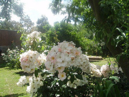 Hudspeth House Bed And Breakfast - Accommodation 4U 3