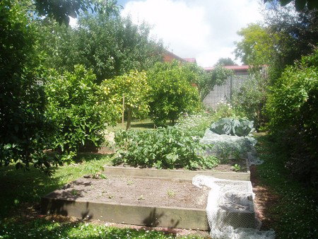 Hudspeth House Bed And Breakfast - Accommodation 4U 4