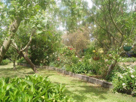 Hudspeth House Bed And Breakfast - Accommodation 4U 5
