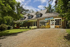 Tamborine Mountain QLD Accommodation 4U