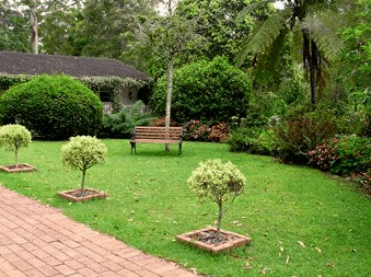 Tall Trees Motel - Accommodation 4U 2