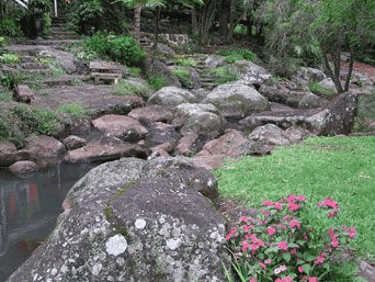 Tall Trees Motel - Accommodation 4U 3