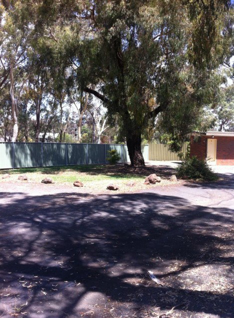 Golden Country Motel And Caravan Park - Accommodation 4U 2