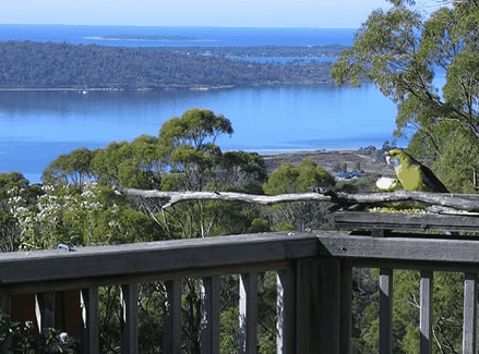 Bed in the Treetops - Accommodation 4U
