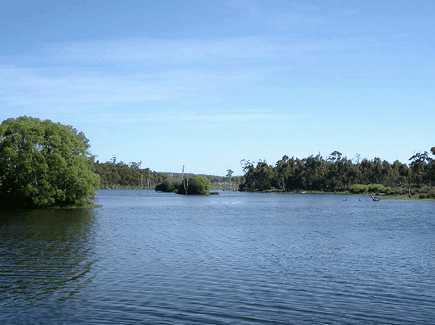 Currawong Lakes - Accommodation 4U