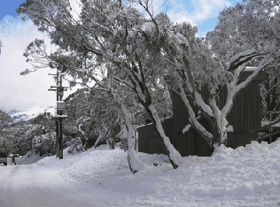 Mulligatawny Ski Club - Accommodation 4U 1