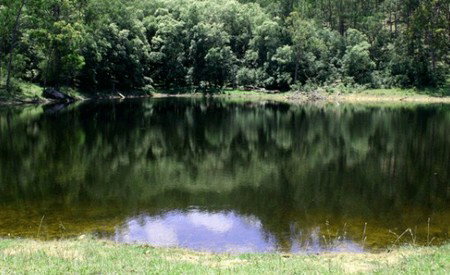 Mystwood Retreats - Accommodation 4U 5