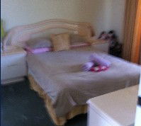 Lake Illawarra Bed & Breakfast - Accommodation 4U 2