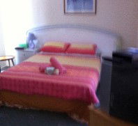 Lake Illawarra Bed & Breakfast - Accommodation 4U 4