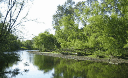 Ribbonwood Cottages - Accommodation 4U 0