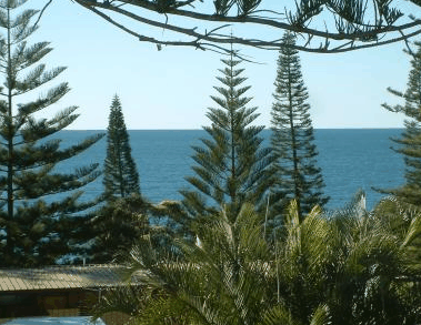 Next Seabreeze Beach Hotel - Accommodation 4U 2