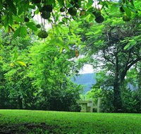 Misty Mountain Retreat - Accommodation 4U