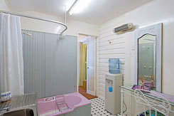 Barbara's Budget Accommodation - Accommodation 4U 1
