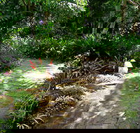 Coco's Country Cottage - Accommodation 4U