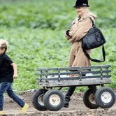 Perth City Farm Organic Markets - Accommodation 4U