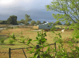 The House Of Honey - Accommodation 4U 2