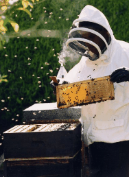 The House Of Honey - Accommodation 4U 3