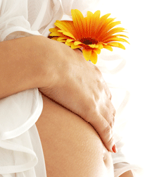 Glow Retreat - Accommodation 4U 1