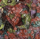 Jan Murphy Gallery - Accommodation 4U 3