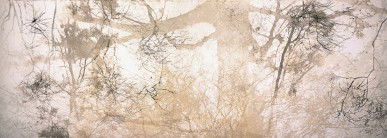 Dianne Tanzer Gallery & Projects - Accommodation 4U 3