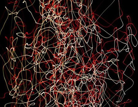 Eleven40 Gallery - Accommodation 4U 1