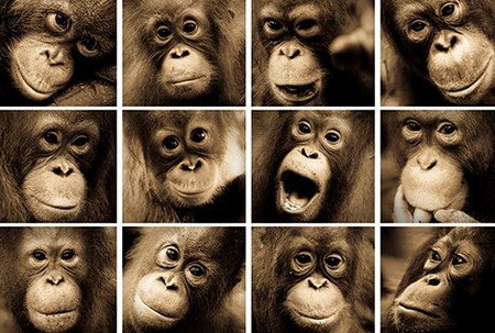 Eleven40 Gallery - Accommodation 4U 3