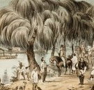 Joshua McClelland Print Room - Accommodation 4U