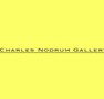 Charles Nodrum Gallery - Accommodation 4U