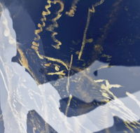 Warburton Lane Exhibits - Accommodation 4U