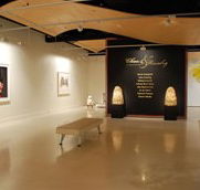 Counihan Gallery In Brunswick - Accommodation 4U