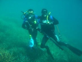 Pelican Charters - Accommodation 4U 1