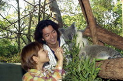 Taronga Zoo - Accommodation 4U 2