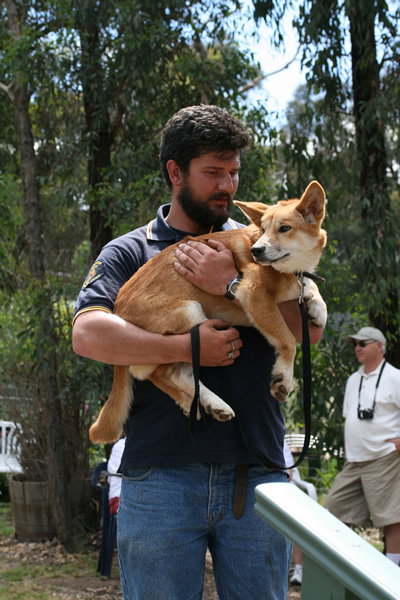 Jirrahlinga Koala & Wildlife Sanctuary - Accommodation 4U 2