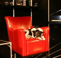 Old Fitzroy Theatre - Accommodation 4U