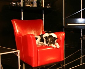 Old Fitzroy Theatre - Accommodation 4U 0