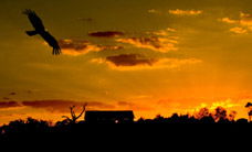 Werribee Open Range Zoo - Accommodation 4U 1