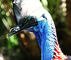Dakabin QLD Accommodation 4U