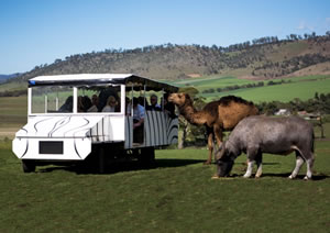 Zoo Doo Wildlife Park - Accommodation 4U 2