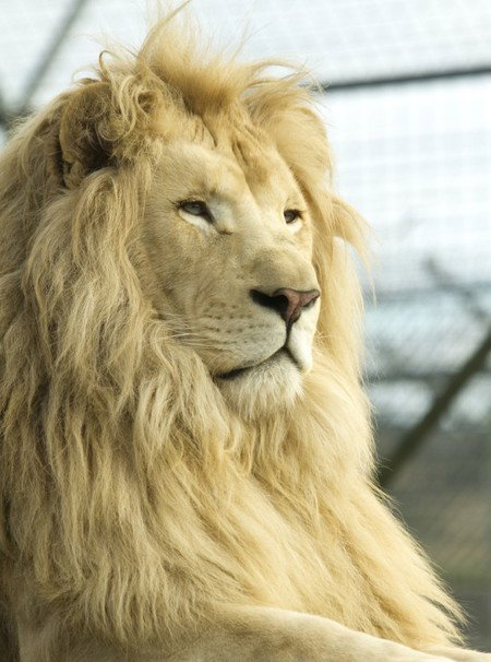 Zoo Doo Wildlife Park - Accommodation 4U 3