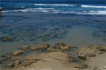 Canberra Contemporary Art Space - Accommodation 4U