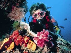 Gold Coast Seaway Dive Site - Accommodation 4U 0