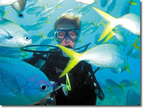 Maxi Ragamuffin - Accommodation 4U 3