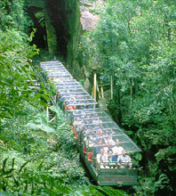 Scenic World Blue Mountains - Accommodation 4U 3