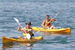 Manly Kayaks - Accommodation 4U 0