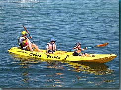 Manly Kayaks - Accommodation 4U 3