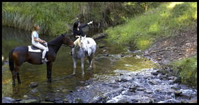 Glenworth Valley Horseriding - Accommodation 4U 1